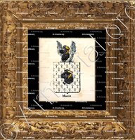 cadre-ancien-or-MASIN_Armorial royal des Pays-Bas_Europe