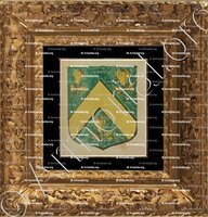 cadre-ancien-or-ROUSSEL (Alsace)_Blason enregistré sous le règne de Louis XIV_France 