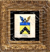 cadre-ancien-or-MATTHAEIS VAN DEN BROUCKE_Armorial royal des Pays-Bas_Europe