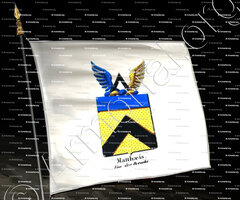 drapeau-MATTHAEIS VAN DEN BROUCKE_Armorial royal des Pays-Bas_Europe