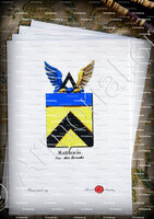 velin-d-Arches-MATTHAEIS VAN DEN BROUCKE_Armorial royal des Pays-Bas_Europe