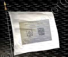 drapeau-AUDIFF~2