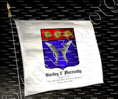 drapeau-BARBEY d'AUREVILLY_Anobli 1765. Fiefs d'Aurevilly, Motel, Tesnières, Taillepied, Roncey. Normandie._France.