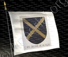 drapeau-des GALLOIS de LA TOUR_Bourbonnais_France