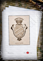 velin-d-Arches-BONAPARTE_Corse. Armorial Corse, 1892._France (1)