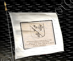 drapeau-BOURBONNAIS_armoiries de la maison ducale de Bourbonnais_France (i)