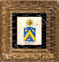 cadre-ancien-or-MERGHELYNCK_Armorial royal des Pays-Bas_Europe