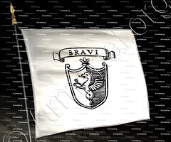 drapeau-BRAVI_Padova_Italia