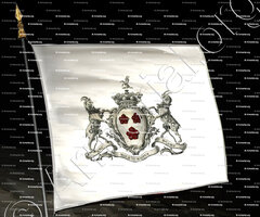 drapeau-SOUTHWELL_Lord Southwell_Irland (+)