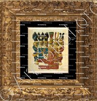 cadre-ancien-or-LINIE NASSAU 1750_Wappen der Fürsten zu Nassau von der Jüngern Linie_Luxemburg ()