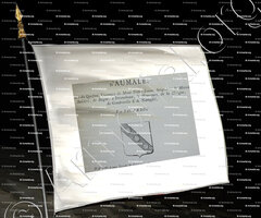 drapeau-AUMALE_ d'Aumale_Picardie_France