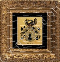 cadre-ancien-or-HUG_Wappenbuch der Stadt Basel . B.Meyer Knaus 1880_Schweiz