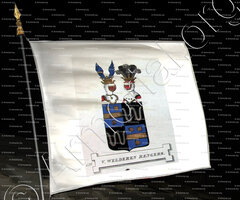 drapeau-Van WELDEREN RENGERS_Friesland (Stamboek van den Frieschen, 1846)_Nederland