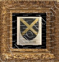 cadre-ancien-or-des GALLOIS_Bourbonnais_France