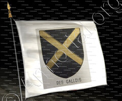 drapeau-des GALLOIS_Bourbonnais_France