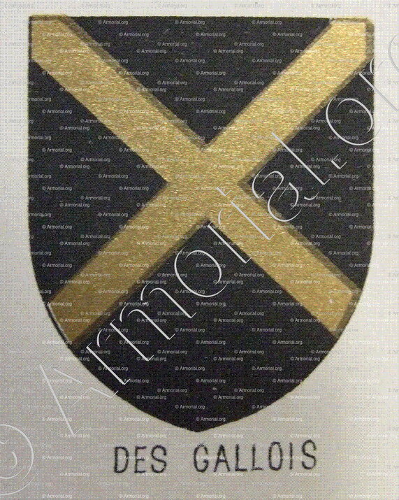 des GALLOIS_Bourbonnais_France