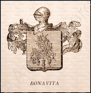 BONAVITA