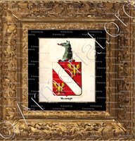 cadre-ancien-or-MESNAGE_Armorial royal des Pays-Bas_Europe