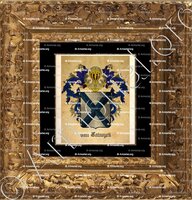 cadre-ancien-or-Van CATWYCK_Koninkrijk der Nederlanden_Nederland (i)