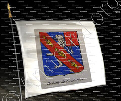 drapeau-DE BELLE DE GACHETIERE_Noblesse d'Empire._France