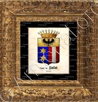 cadre-ancien-or-SALVI (conti de)_Vizenza._Italia (1)