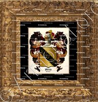 cadre-ancien-or-ABEILLE_Provence_France (ii)