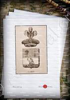 velin-d-Arches-CAMPI_Corse. Armorial Corse, 1892._France (1)