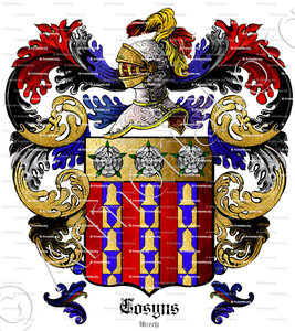 COSYNS