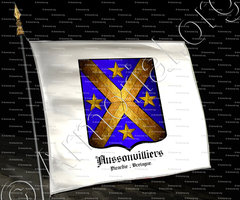 drapeau-AUSSONVILLIERS_Picardie _Bretagne._France (i)