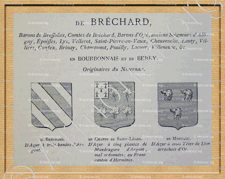 DE CHAMPS de SAINT-LEGER_Bourbonnais,Berry._France (1)
