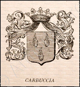 CARBUCCIA
