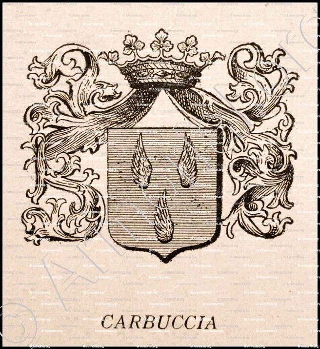 CARBUCCIA_Corse. Armorial Corse, 1892._France (1)