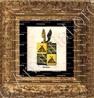 cadre-ancien-or-MICHIELS_Armorial royal des Pays-Bas_Europe