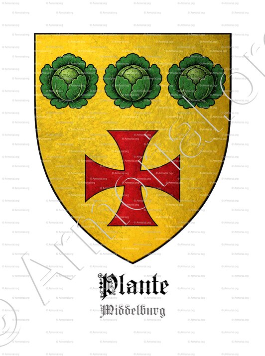PLANTE_Middelburg_Nederland (2)