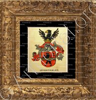 cadre-ancien-or-IFFENTHALER_Wappenbuch der Stadt Basel . B.Meyer Knaus 1880_Schweiz