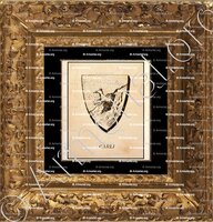 cadre-ancien-or-CARLI_Corse. Armorial Corse, 1892._France (1)