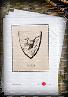 velin-d-Arches-CARLI_Corse. Armorial Corse, 1892._France (1)
