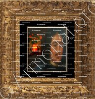 cadre-ancien-or-de PEISSANT_Champagne, Hainaut_France, Belgique