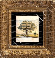 cadre-ancien-or-De LALEU Robert_Marseille_France (2)