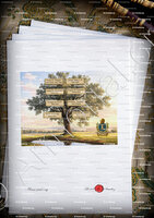 velin-d-Arches-De LALEU Robert_Marseille_France (2)