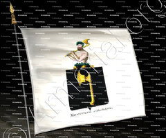 drapeau-MOEREMAN D'HARLEBEKE_Armorial royal des Pays-Bas_Europe