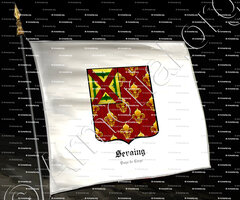drapeau-SERAING_Pays de Liège_France (2)