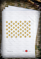 velin-d-Arches-Drapeau Fleurs de lys.png (2)