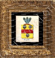 cadre-ancien-or-MONTPELLIER_Armorial royal des Pays-Bas_Europe