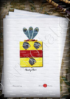 velin-d-Arches-MONTPELLIER_Armorial royal des Pays-Bas_Europe