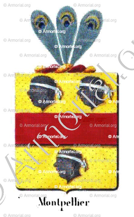 MONTPELLIER_Armorial royal des Pays-Bas_Europe