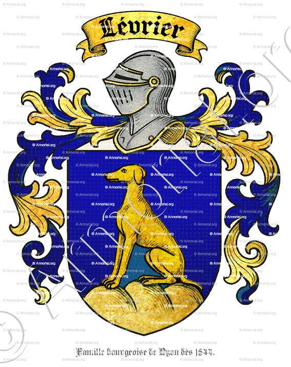 LÉVRIER_Nyon, Vaud._Suisse (1)