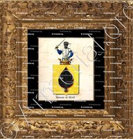 cadre-ancien-or-MOREAU DE BIOUL_Armorial royal des Pays-Bas_Europe