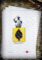 velin-d-Arches-MOREAU DE BIOUL_Armorial royal des Pays-Bas_Europe