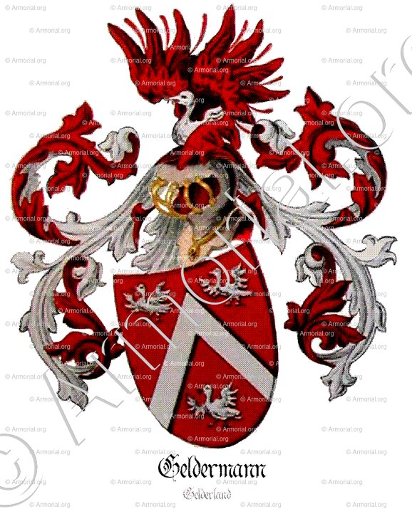 GELDERMAN_Gelderland_Nederland